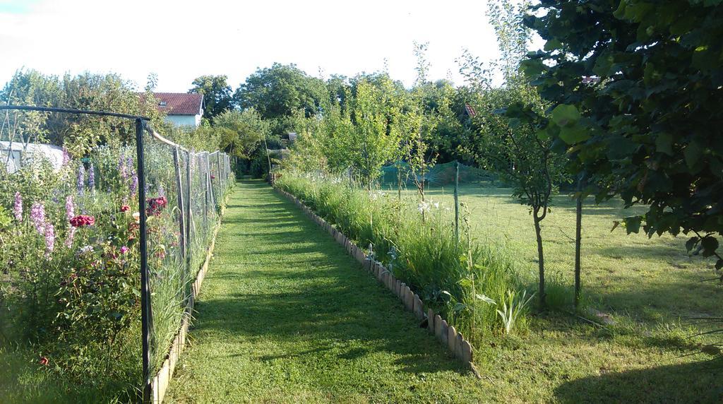 Farm Stay Lackovic Билье Экстерьер фото